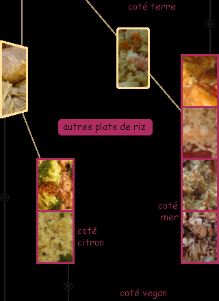 lien recette de riz